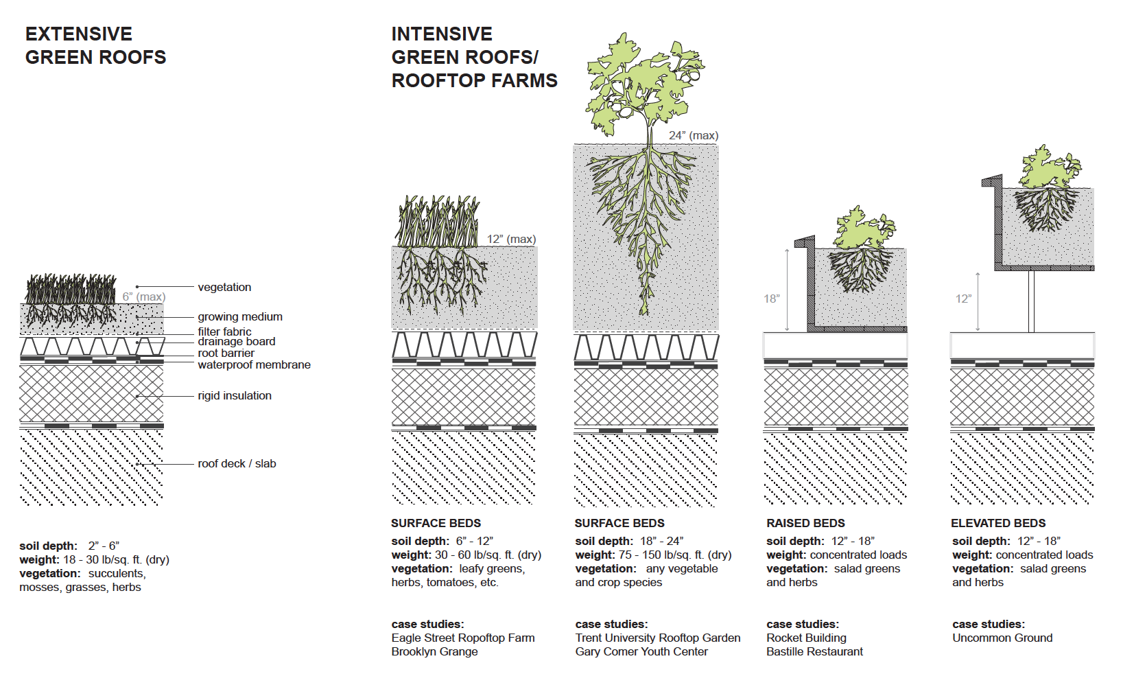Urban Rooftops as Productive Resources Rooftop Farming versus